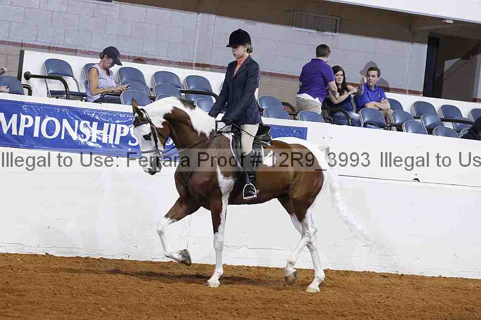 Proof 12r9_3993