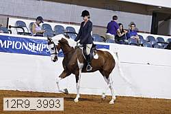 12r9_3993 proof