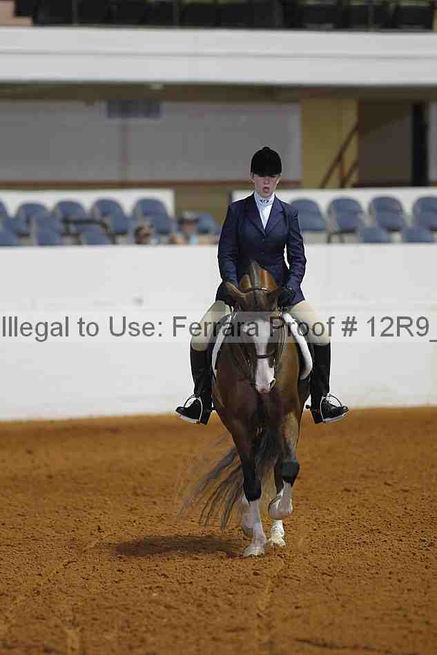 Proof 12r9_3995