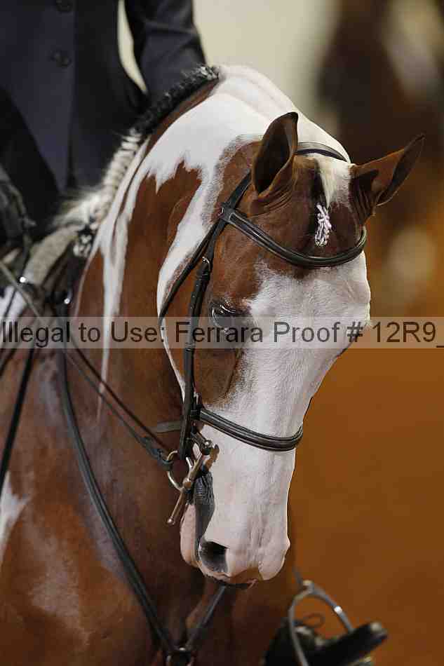 Proof 12r9_4001