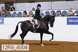 12r9_4004 proof