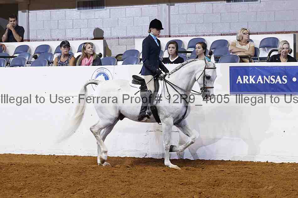 Proof 12r9_4005