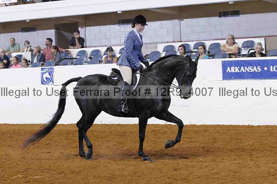 Proof 12r9_4007