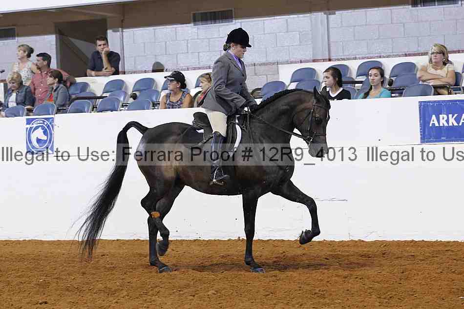 Proof 12r9_4013