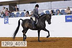 12r9_4013 proof