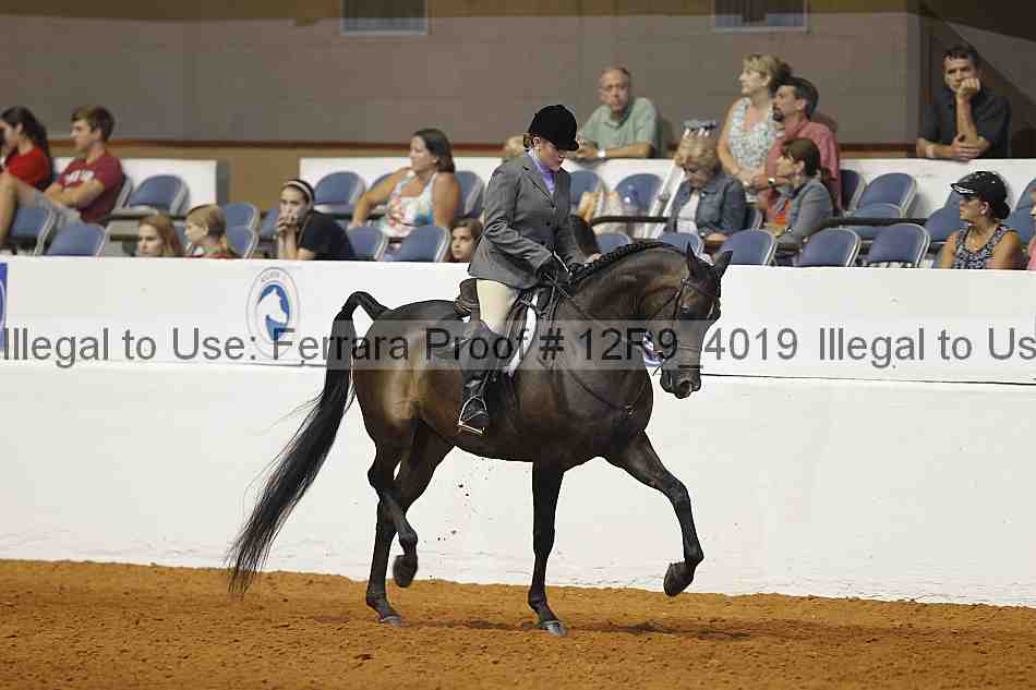 Proof 12r9_4019