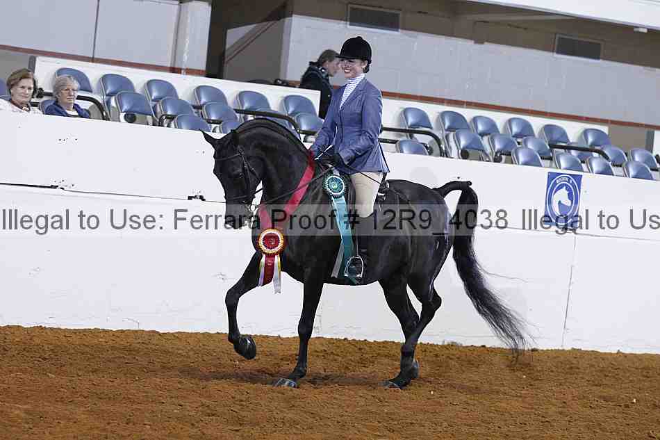 Proof 12r9_4038