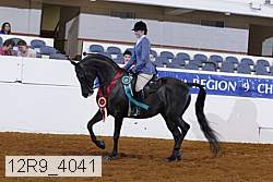 12r9_4041 proof