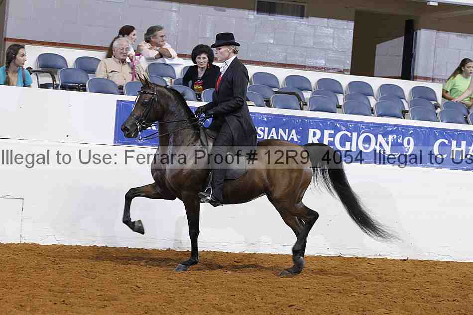 Proof 12r9_4054