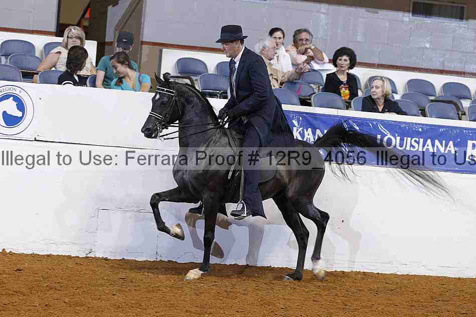 Proof 12r9_4056