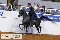 12r9_4056 proof