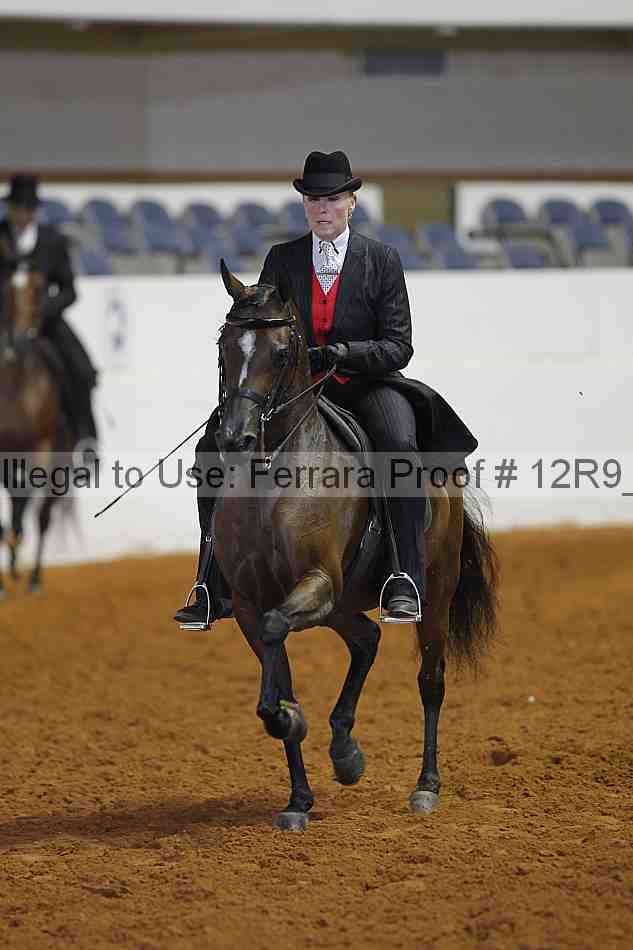 Proof 12r9_4063