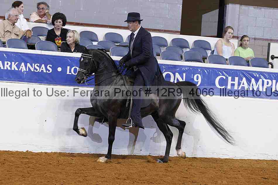 Proof 12r9_4066