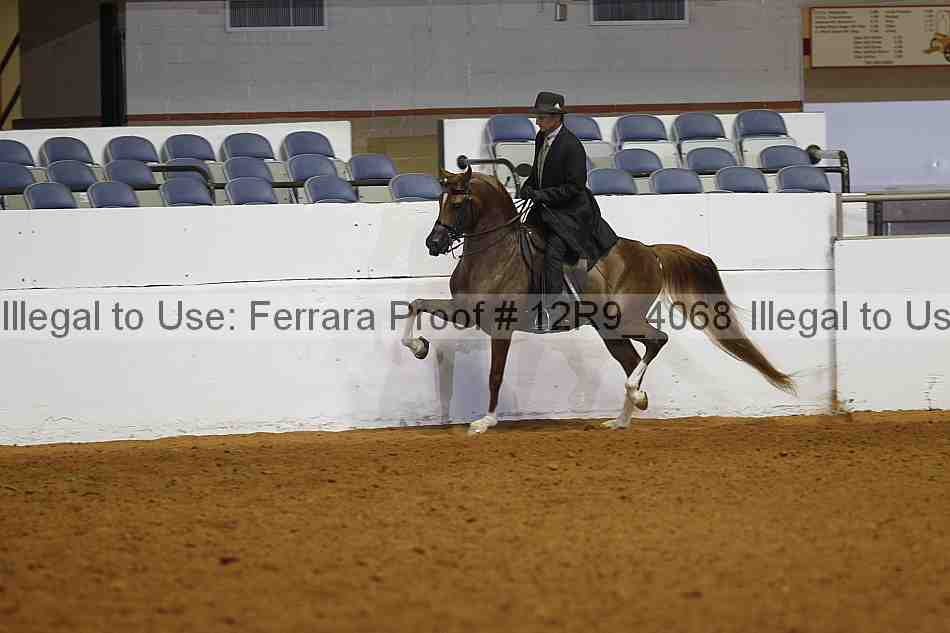 Proof 12r9_4068