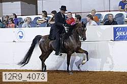 12r9_4073 proof