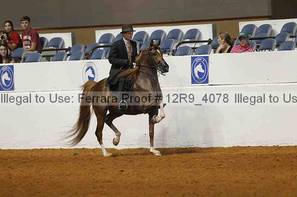 Proof 12r9_4078