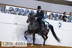 12r9_4083 proof