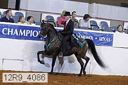12r9_4086 proof
