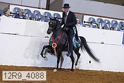 12r9_4088 proof