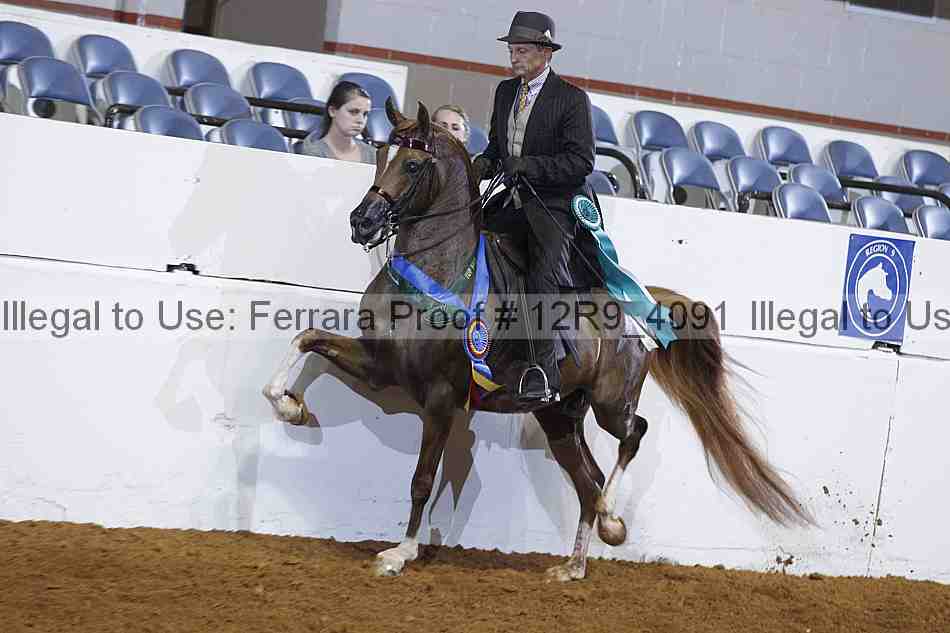 Proof 12r9_4091