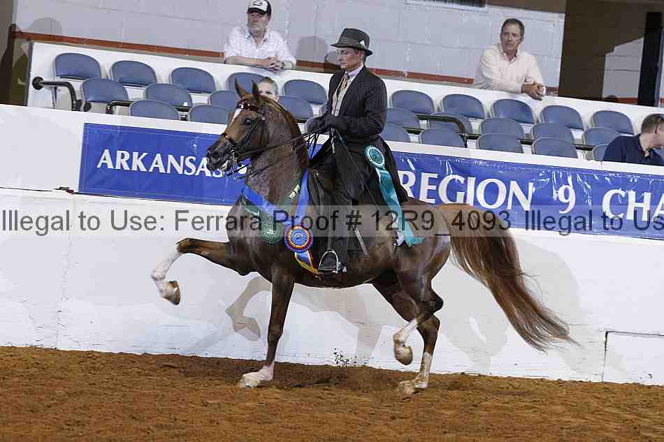 Proof 12r9_4093
