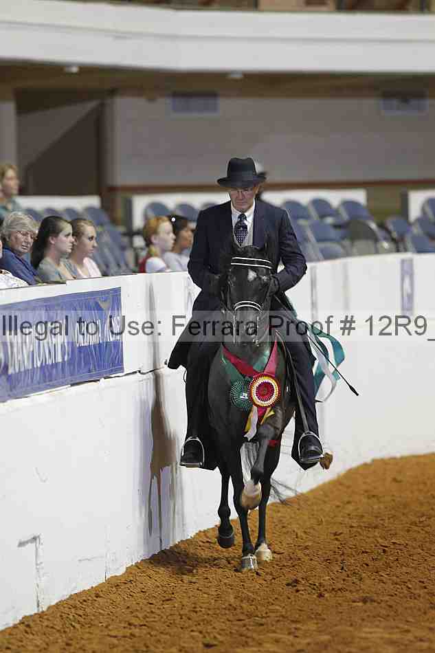 Proof 12r9_4095