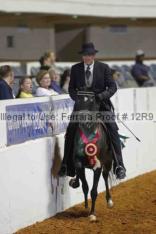 Proof 12r9_4096