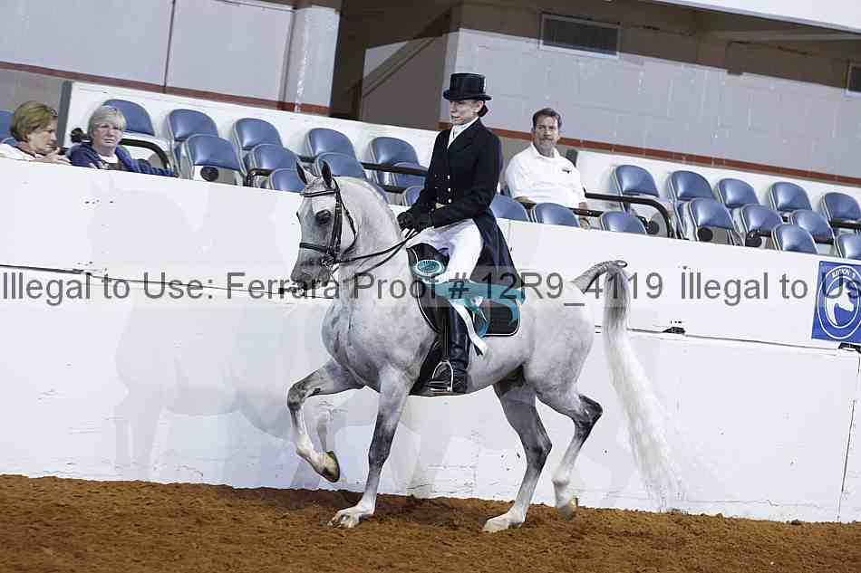 Proof 12r9_4119
