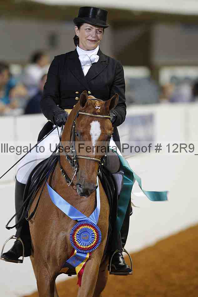 Proof 12r9_4136