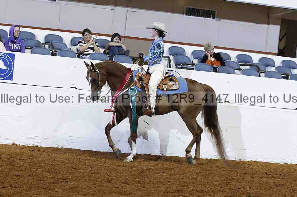 Proof 12r9_4147