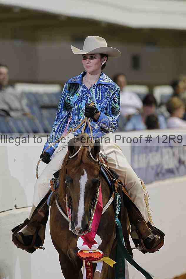 Proof 12r9_4154