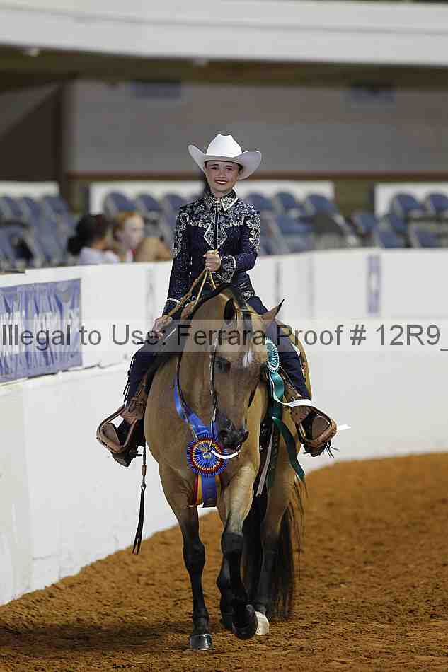 Proof 12r9_4158