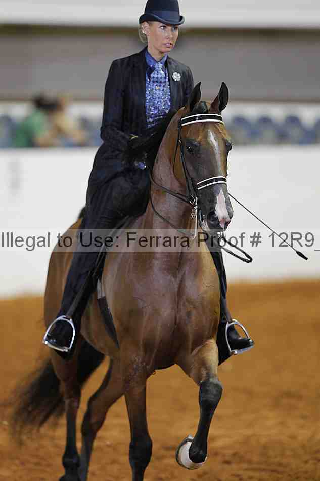 Proof 12r9_4170