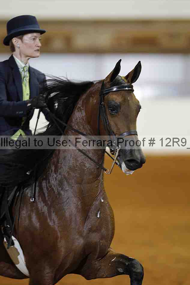 Proof 12r9_4175