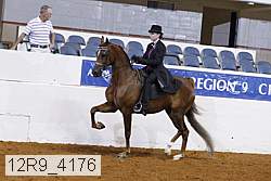 12r9_4176 proof