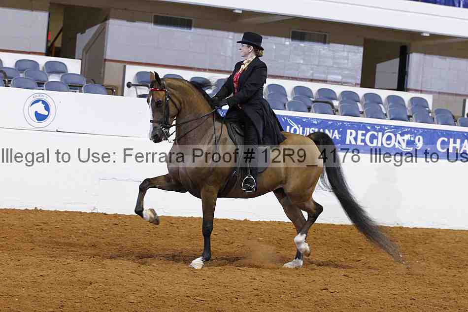 Proof 12r9_4178
