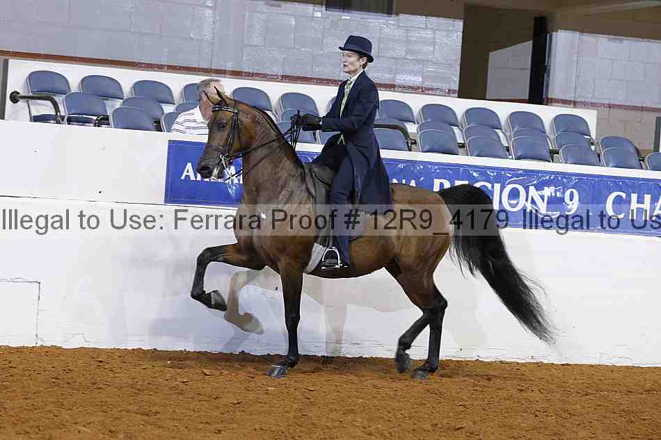 Proof 12r9_4179