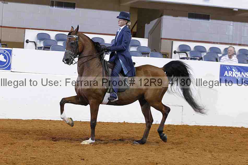 Proof 12r9_4180