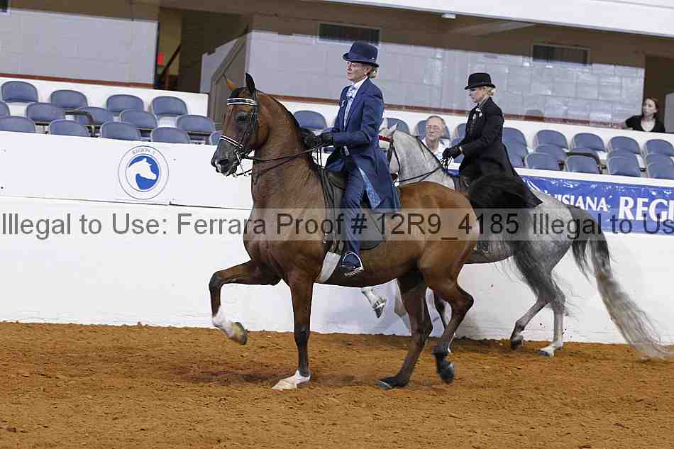 Proof 12r9_4185