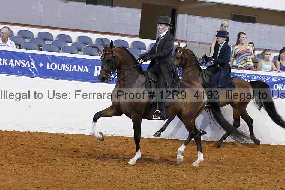 Proof 12r9_4193