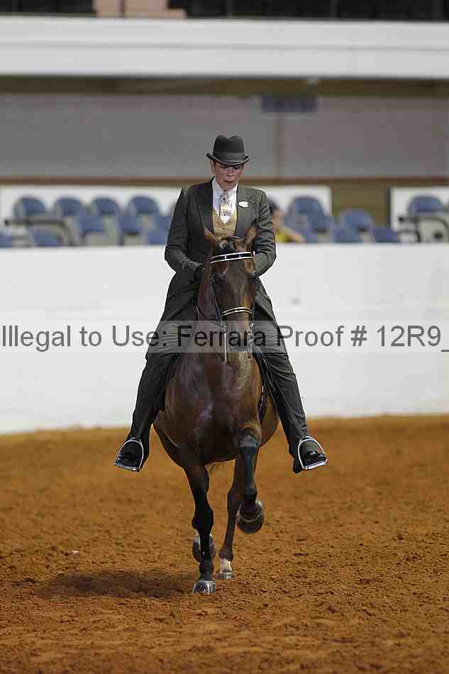 Proof 12r9_4195
