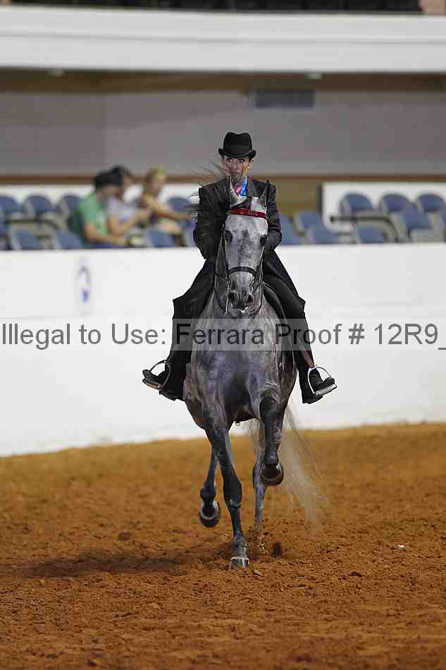 Proof 12r9_4204