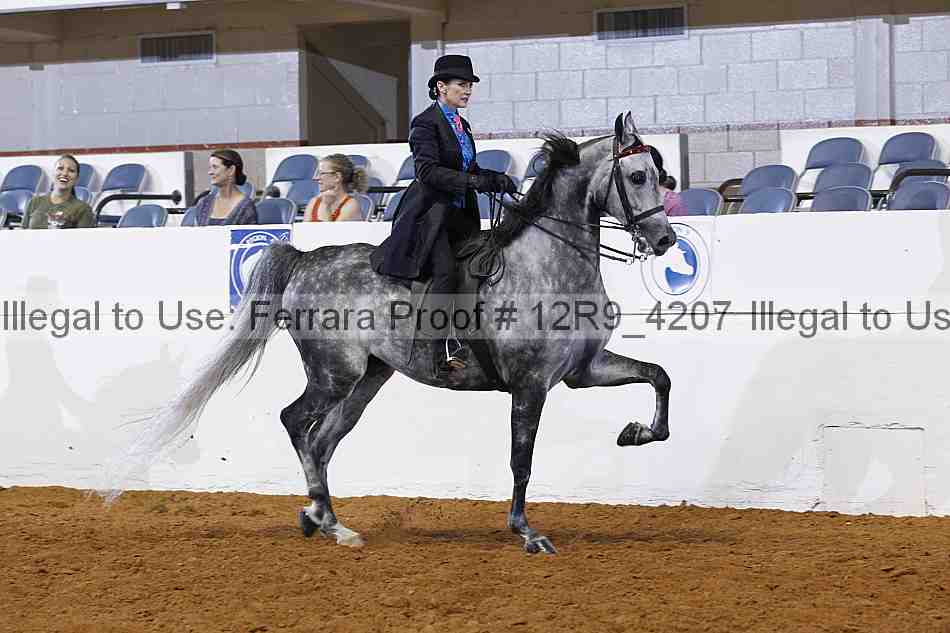 Proof 12r9_4207
