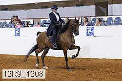 12r9_4208 proof