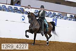 12r9_4227 proof