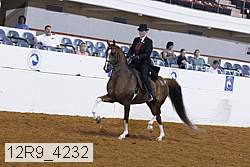 12r9_4232 proof