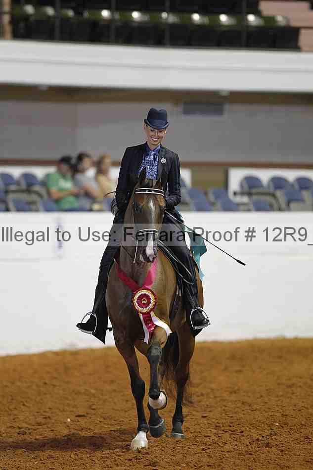 Proof 12r9_4247