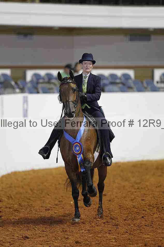 Proof 12r9_4250