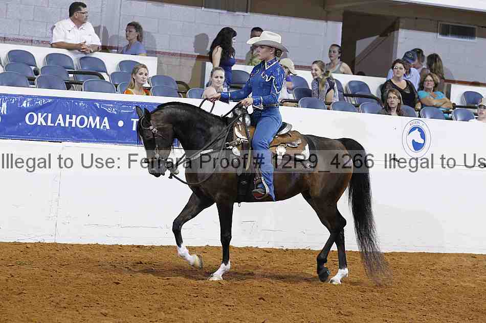 Proof 12r9_4266
