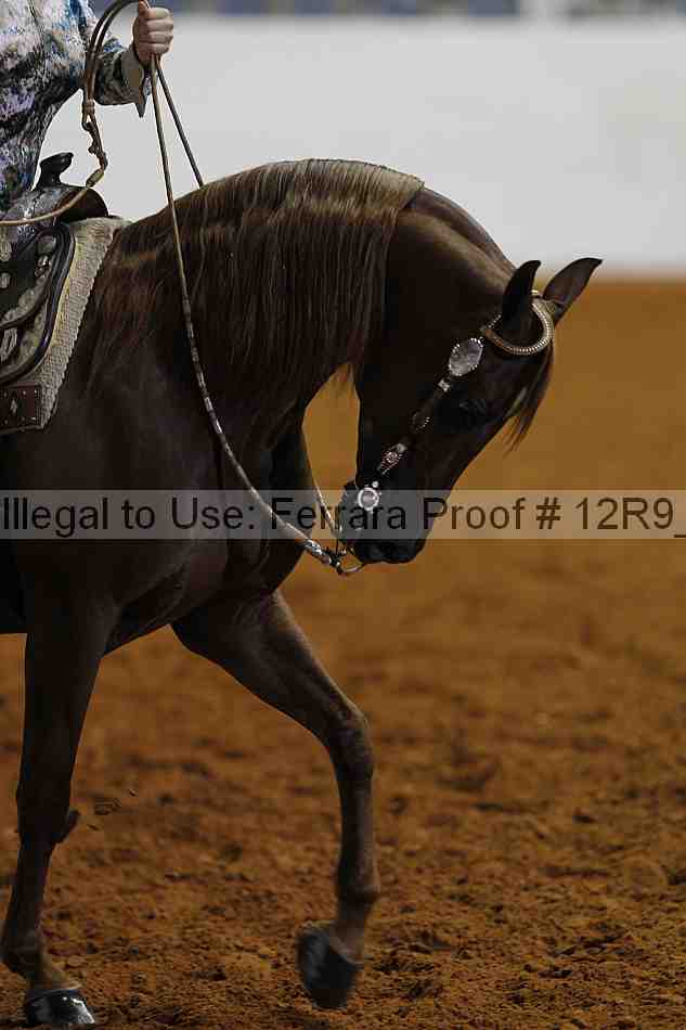 Proof 12r9_4269